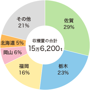 二条大麦（大粒大麦）